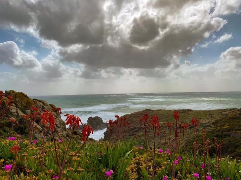 Le Onde Villa Torre dei Corsari Eksteriør bilde